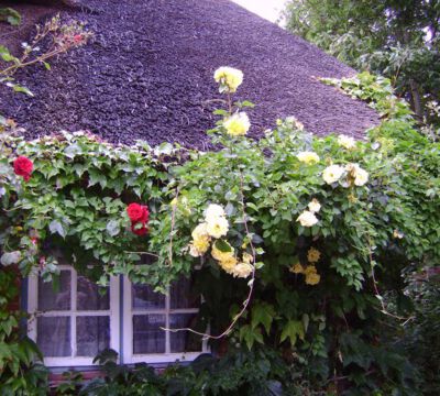 Ferienwohnung Föhr